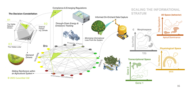 Conserving Information by Scaling the Stratum